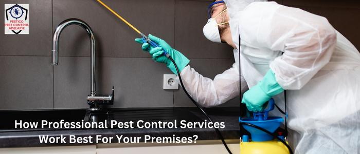 Why Hire Professionals For A Better Pest Control Service