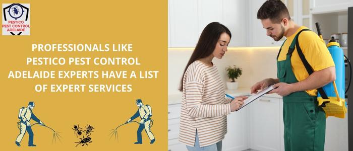 Why Hire Professionals For A Better Pest Control Service