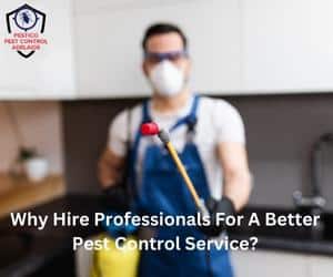 Why Hire Professionals For A Better Pest Control Service