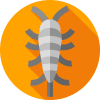 silverfish silverfish